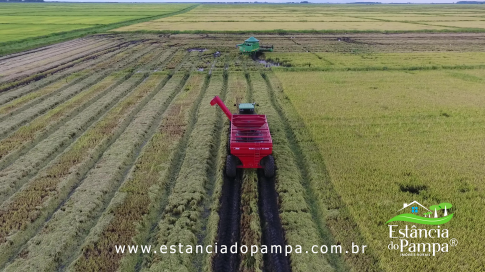 DOS EÓLICOS VIRA P FAZENDA_Moment.00_01_32_08.Quadro050_aea57ff1cd4ce3ae06f5e0d67ba0f2bfe07fd5ed.png